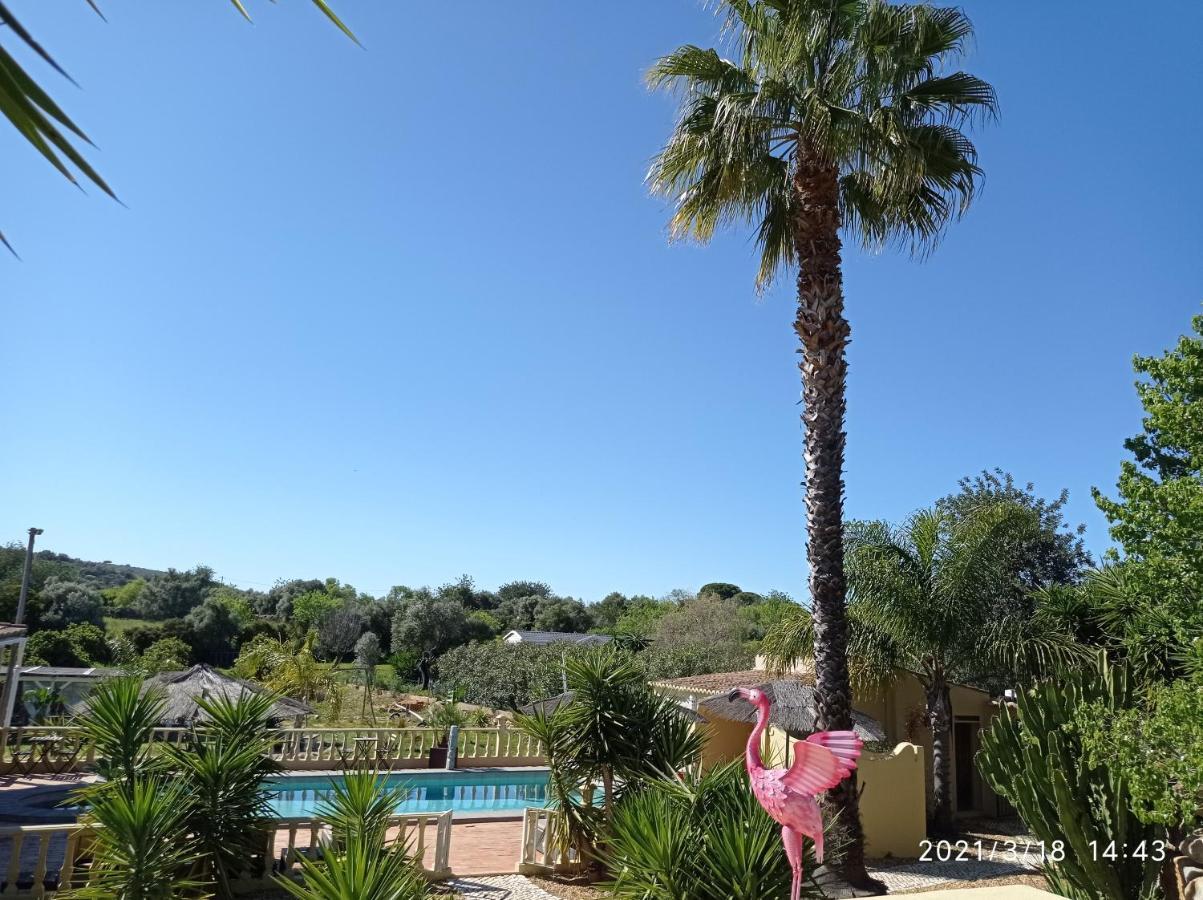 蒙卡拉帕乔Quinta Pereiro Tropic Garden, Algarve住宿加早餐旅馆 外观 照片