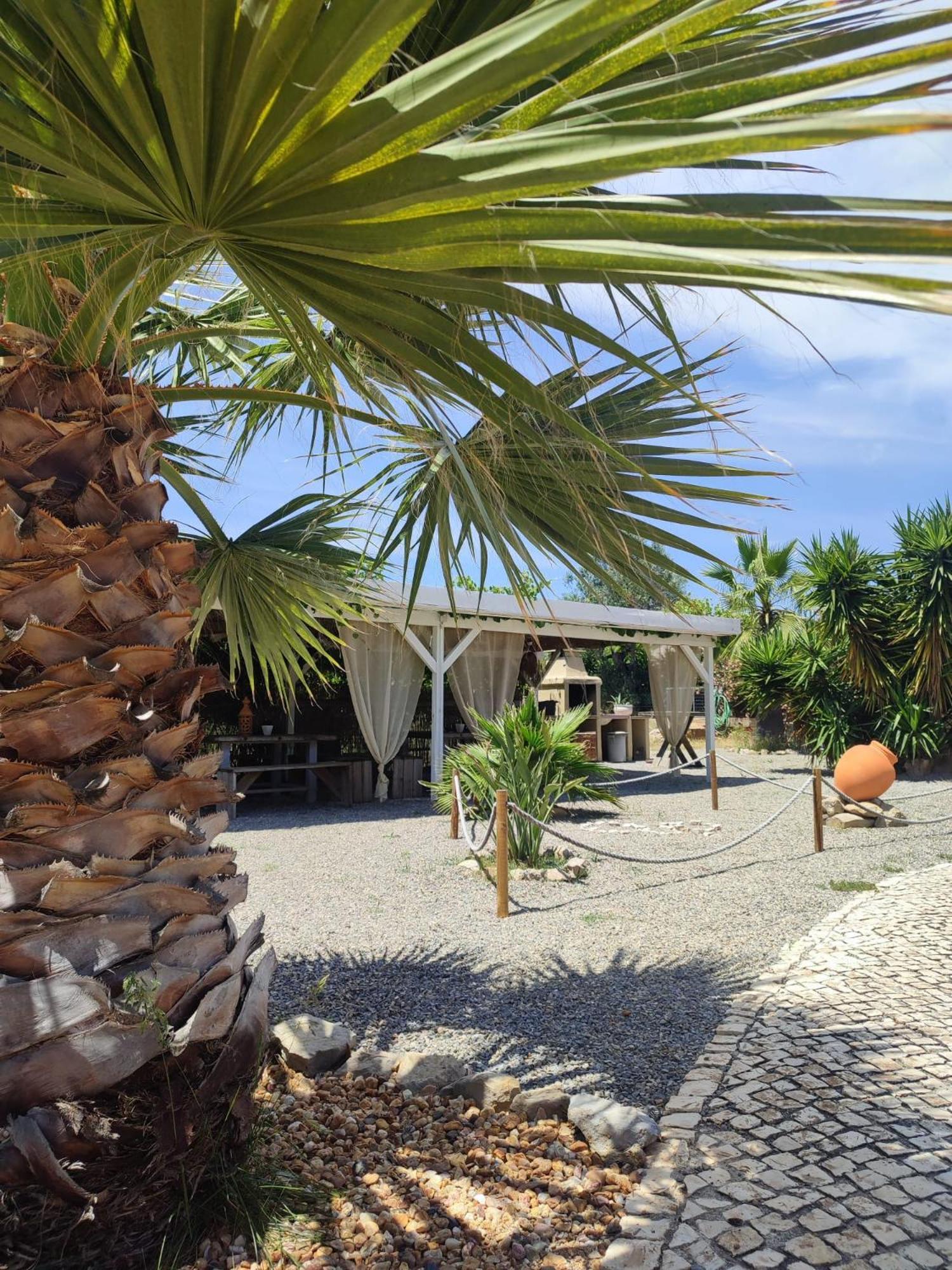 蒙卡拉帕乔Quinta Pereiro Tropic Garden, Algarve住宿加早餐旅馆 外观 照片